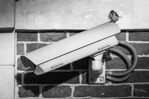 Ensuring Drain Integrity with CCTV Pipe Inspections